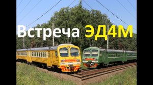 "Встреча на перегоне" Электропоезда ЭД4М-0330 и ЭД4М-0242