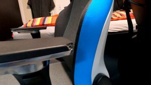 Recaro Exo Platinum VS  Steelcase Gesture