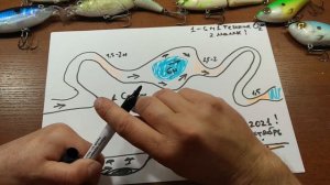 Где искать щуку в новом месте в небольшой реке осенью?