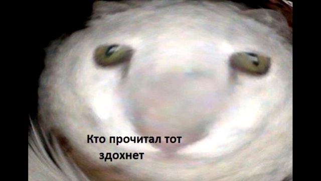 Король Кунилингуса смотреть онлайн