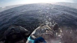Sea Doo Spark 90hp & GTI 130hp - Vänern, Sweden
