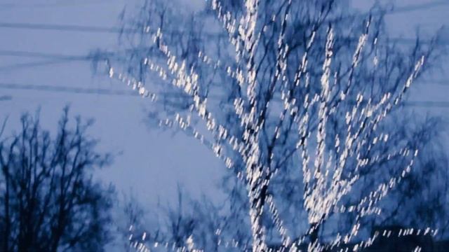 Солнечногорск