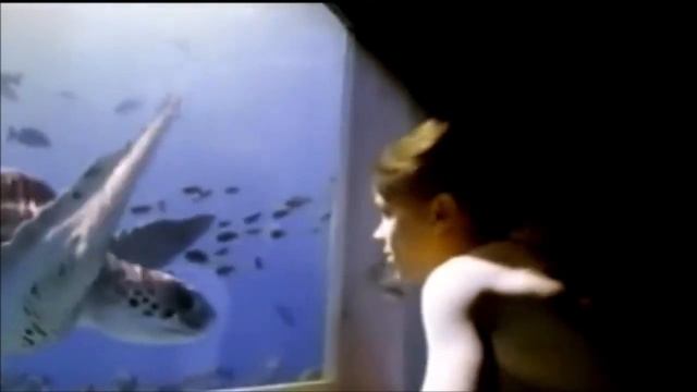 Cheltenham and Gloucester Advert FULL 1999 - Boy Diving For Pearl - Advert Commercial смотреть онлайн
