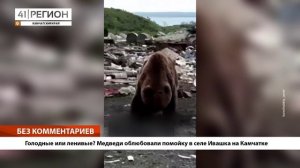 •БЕЗ КОММЕНТАРИЕВ: Голодные или ленивые? Медведи облюбовали помойку в селе Ивашка на Камчатке•
