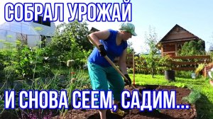 Лук, чеснок и земляника.  И попробуй не сделай....