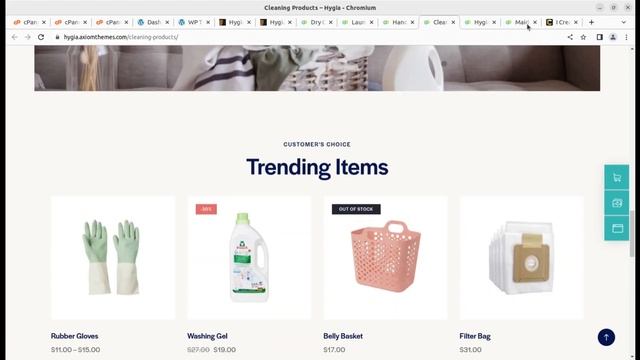 Cleaning Company, Products Store | Laundry, Handyman, Maid Service Theme | Hygia WordPress Theme смотреть онлайн