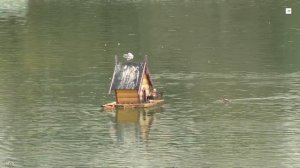 Canon Legria HF G 50 2