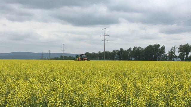 Яровой рапс гибрид Маджонг опрыскиватель Джон дир 732 смотреть онлайн