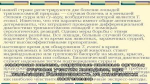 Особенности диагностики, лечения и профилактики случной болезни