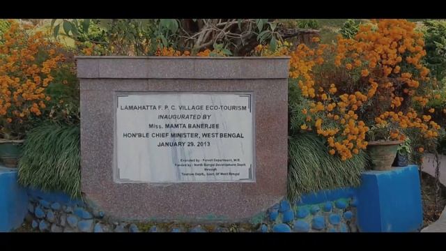 LAMAHATTA CINEMATICS  Samsung A50 camera test