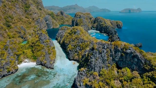 Матрица П.П. Гаряева • Коррекция Общего Обмена Веществ и Работы Пищеварительного Тракта • Оригинал смотреть онлайн