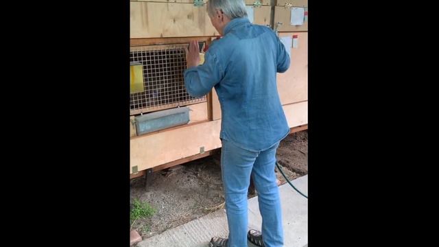 Доброе утро, кролики! смотреть онлайн