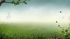 Футаж конец лета HD