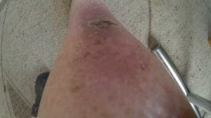 Fotoshow 2013-06-16Eberbach Pleutersbach