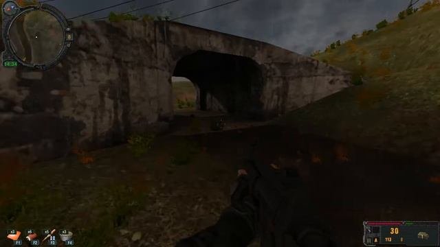 S.T.A.L.K.E.R. Золотой Обоз 2 Тайник в Рыжем лесу!
