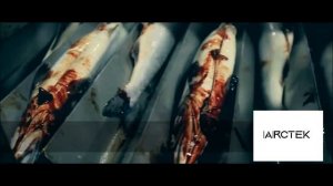 Линия ручного потрошения форели и семги NMG 10