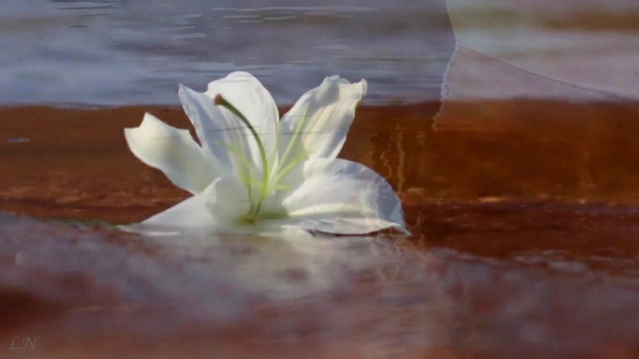 Ф.  Шуберт -  Вечерняя серенада - F.  Schubert – Serenade