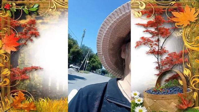 с 1сентябрем первая поездка. на электро коляске смотреть онлайн