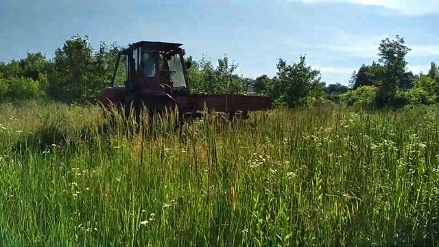 Косим траву // Т-16 // Красный Рог смотреть онлайн