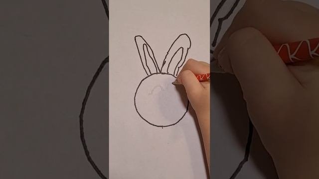 Заяц рисунок