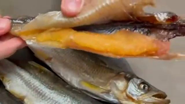 Корюшка вяленая крупная дегустация смотреть онлайн