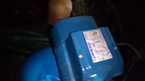 Pedrollo JSWm 15MX with CIMM AFSB 80 liter