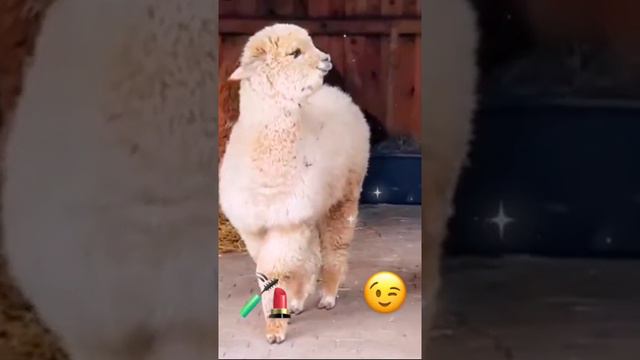 Девчонка рядом молодая. смотреть онлайн