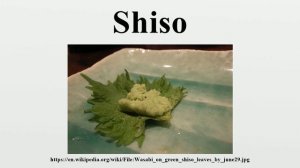 Shiso