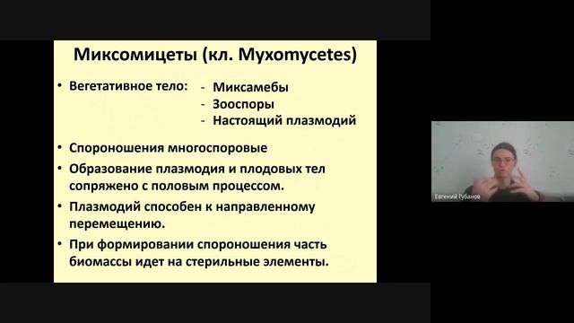 Слизевики - по виду грибы, по сути простейшие | Евгений Губанов смотреть онлайн