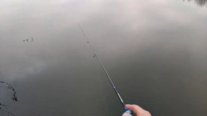 Мормышинг.Открытие сезона 2021.Гаммарус.