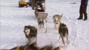 Юкон, Канада / Мир в движении / Путешествия вокруг света / Yukon, Canada / Word Travels