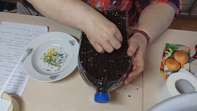 Лук из семян. Выращивание лука чернушка.