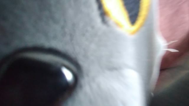 xxaaxaxaxaxaxxaxaxaxxax😂