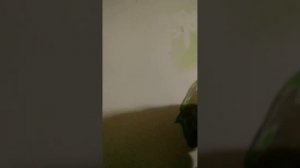 Споттер из сварочного аппарата.