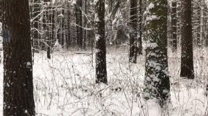 История из жизни падчерицы и отчима. Реальные истории из жизни. Жизненные истории. Аудио рассказы.