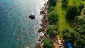 ВРЕД НАПИТКОВ, как аспартам убивает?