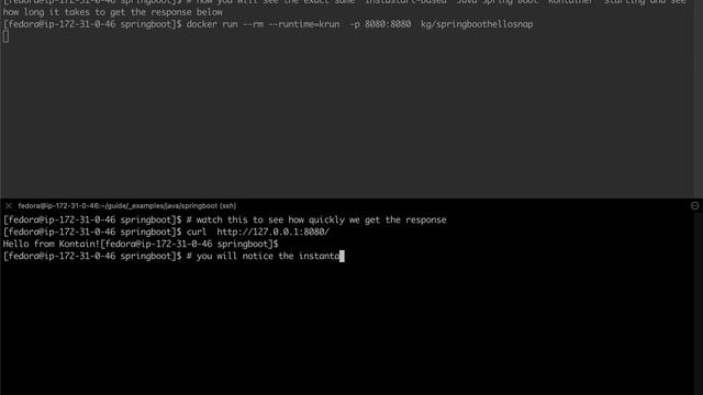 Instantly starting up a Java Spring Boot micro service смотреть онлайн