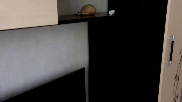 Обзор нашей съемной квартиры в Краснодаре