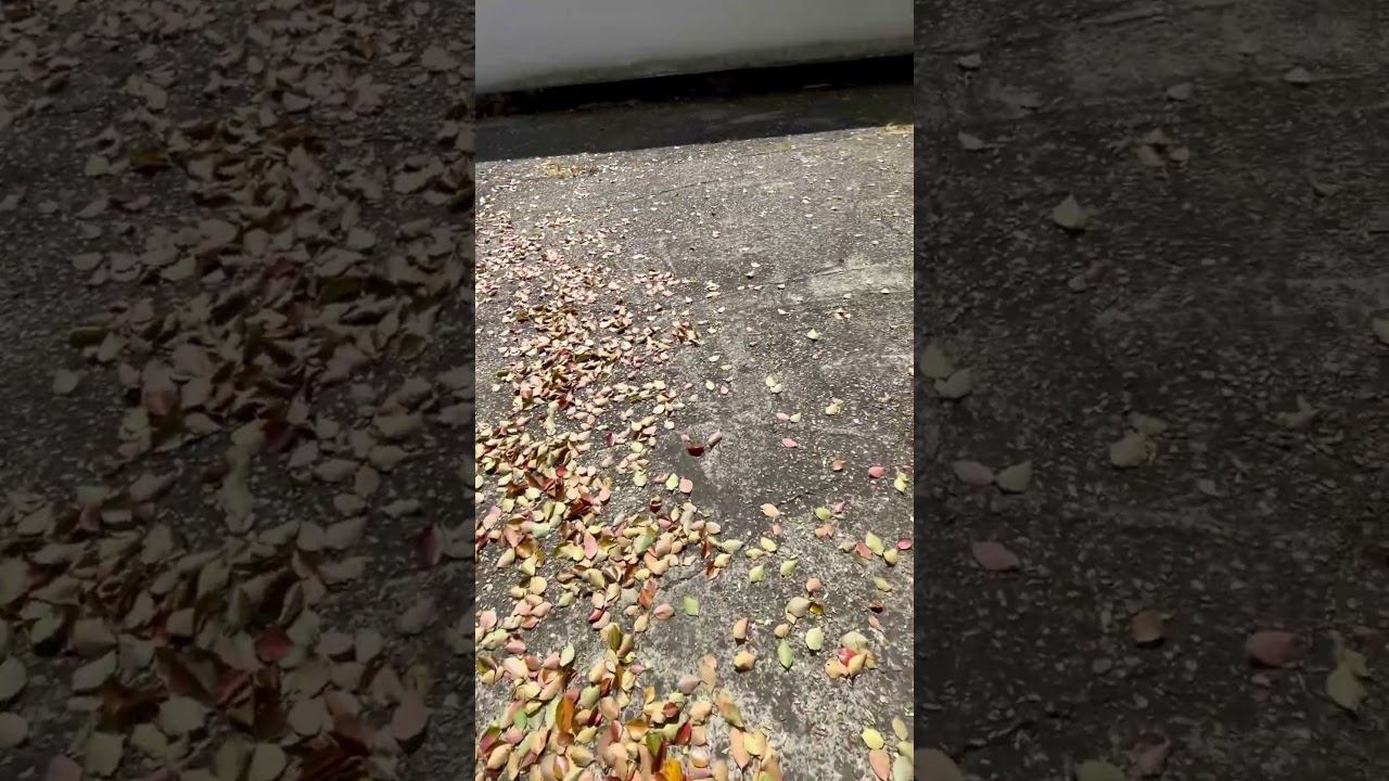 СОЧИ! Город контрастов… #сочи #sochi смотреть онлайн