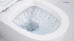 Душевой смыв унитазов Berges