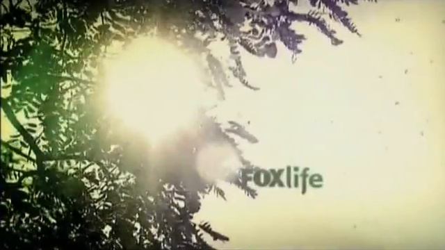 FOX Life - Касл 5 смотреть онлайн