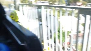 Анапа Аквапарк ЗОЛОТОЙ ПЛЯЖ. #10 ЧЕРНАЯ ДЫРА. Аттракционы водные горки и отдых. Аквапарки России