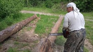 раскряжевка хлыста на сортименты.