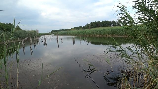 Рыбалка.Ловлю живца на спиннинг ультралайт и попла поппер.