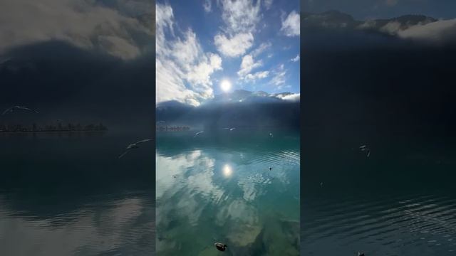 ?? Танец чаек на озере Бриенц, Швейцария