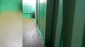 Дети нюхают освежитель воздуха в подъезде. Ноябрьск