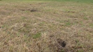 Чёрные копатели - Есть люди , а есть и НЕЛЮДИ!  Так поступать НЕЛЬЗЯ!