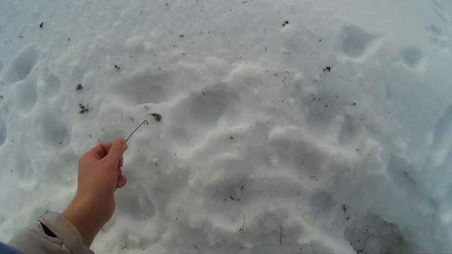 Белотроп - утренние росписи на снегу смотреть онлайн