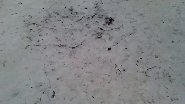 Как найти Слендермена смотреть онлайн