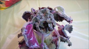 African Violet Potting Mix - Part I - Mix Samples & Recipe